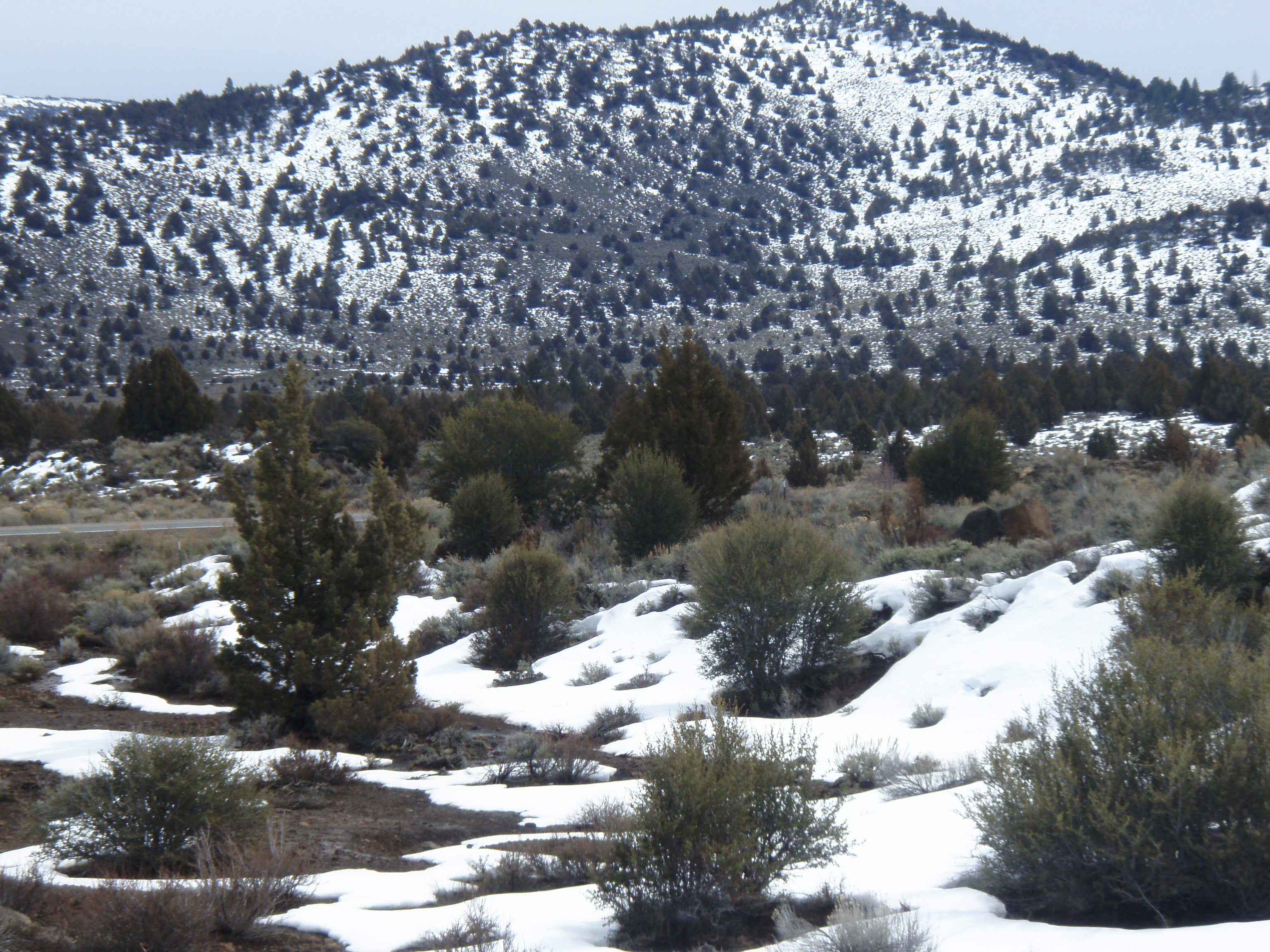 California land for Sale Eagle lake area